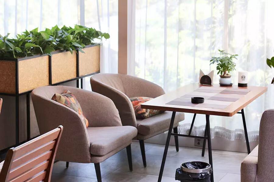 兰州不得不去的花园餐吧,兰州啤酒花园餐吧