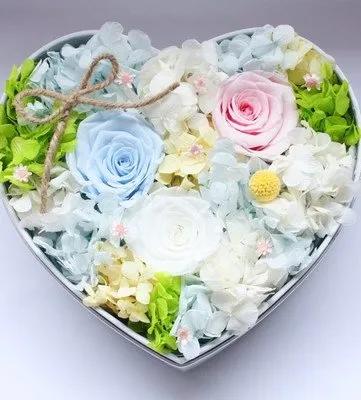 赣鄱专栏|逸云：永生花