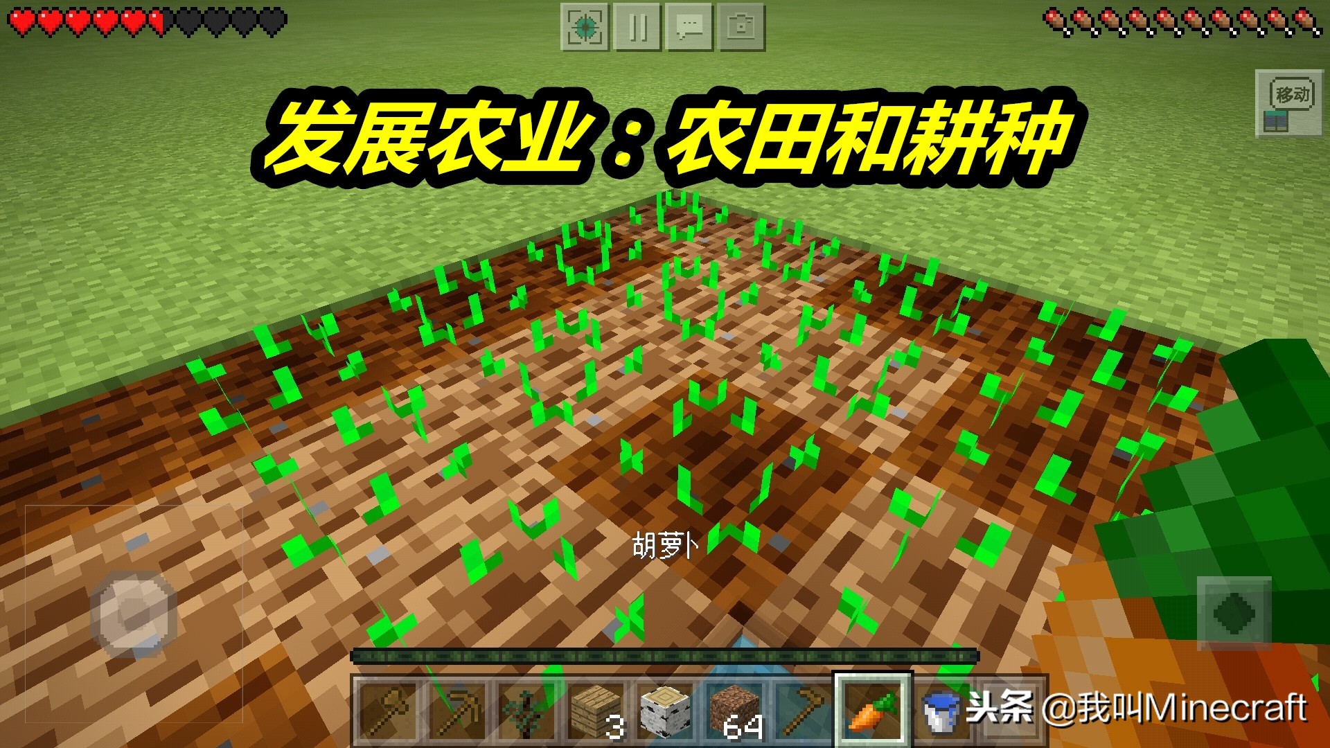 我的世界超平坦生存开局教程,我的世界怎么玩超平坦生存