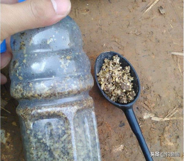 水草多的野河怎么钓鱼,几乎不走水的野河怎么诱鱼