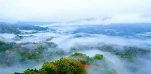 神农架旅游攻略最新,神农架秋天旅游攻略