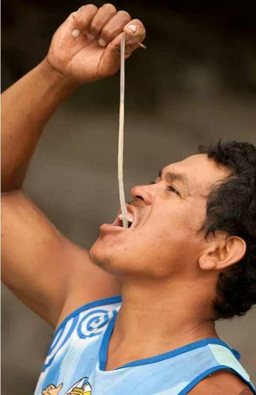 不经意间便能颠覆海洋战争的局势，船蛆小小身体却有大能量