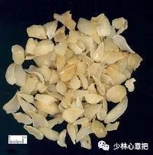 动物中药功效大全,中药药材大全及功效