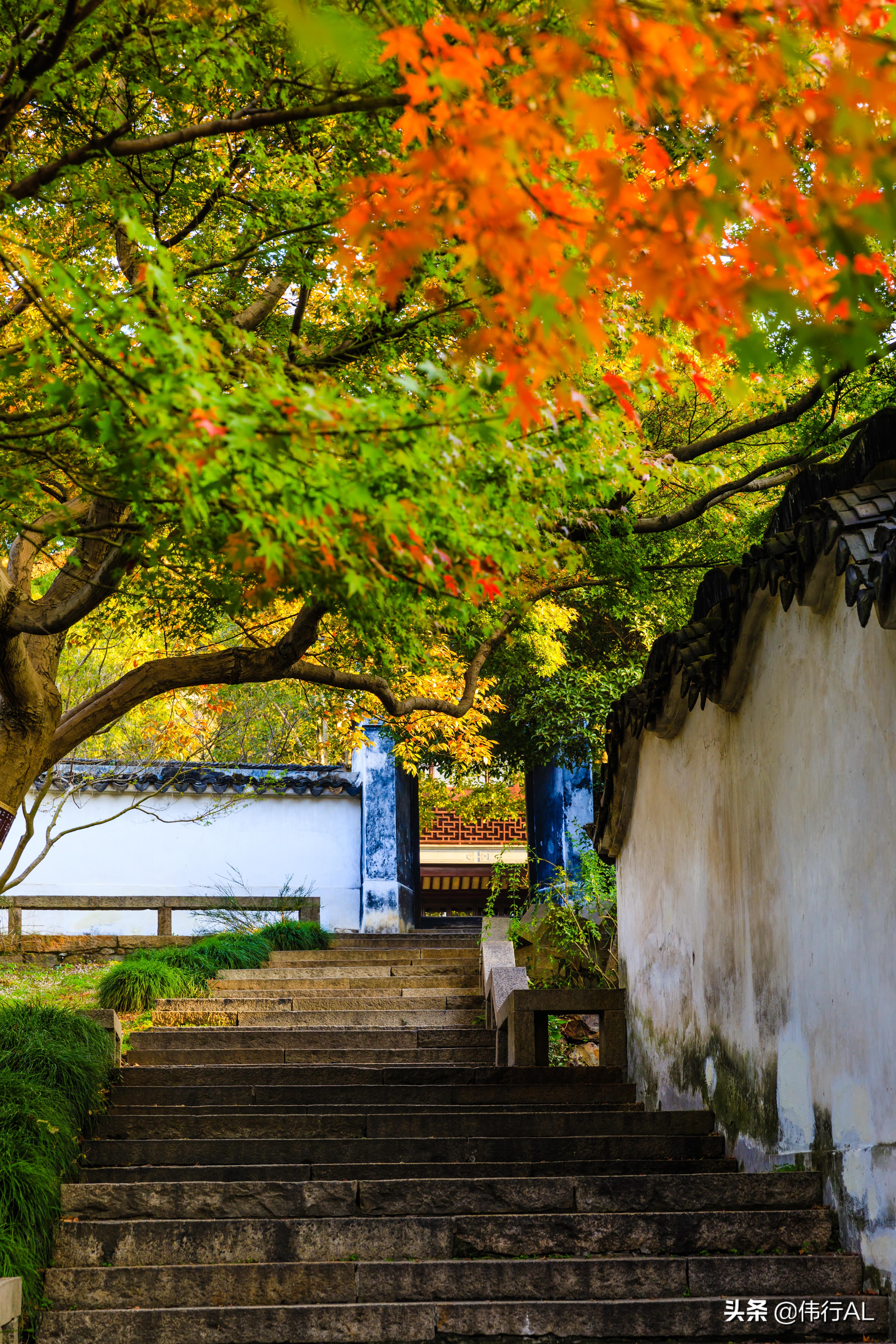 虎丘的十八景,吴中第一名胜虎丘纪念章