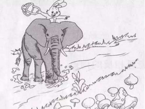 小学一二年级必考看图写话范文,二下看图写话100篇免费