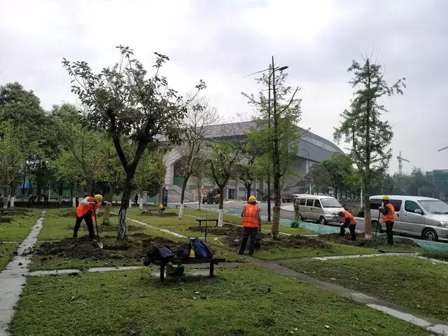 世警会成都宣布开幕,世警会成都