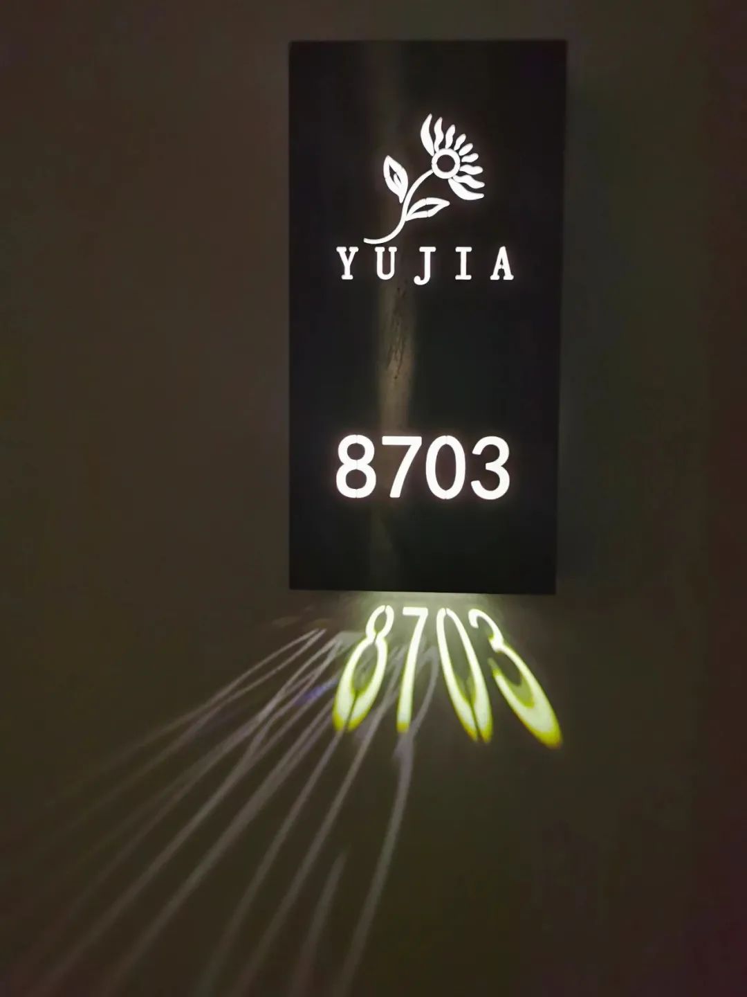 横琴奏一曲：瑜家的温馨丨初夏.珠海后花园畅游记