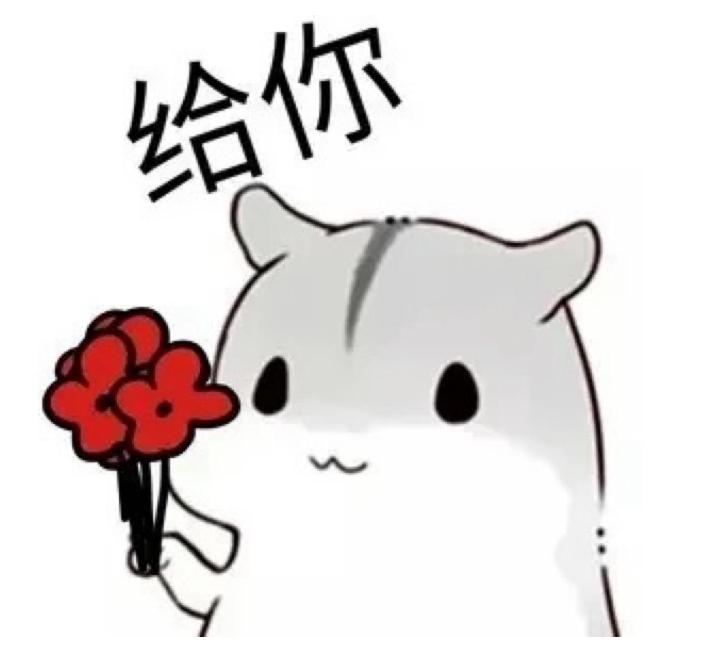 选课时教务系统网址出错,教务系统选课网站崩溃