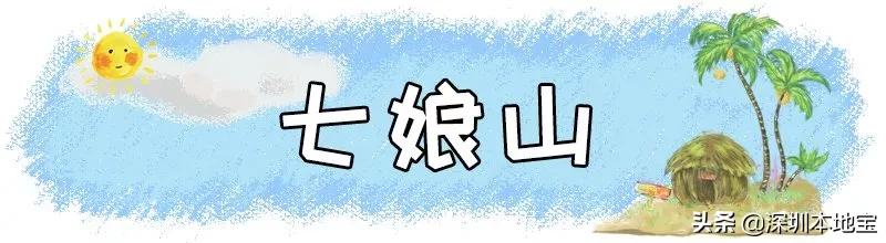 深圳免费的景点有哪些地方,深圳有哪些免费又好玩的地方景点