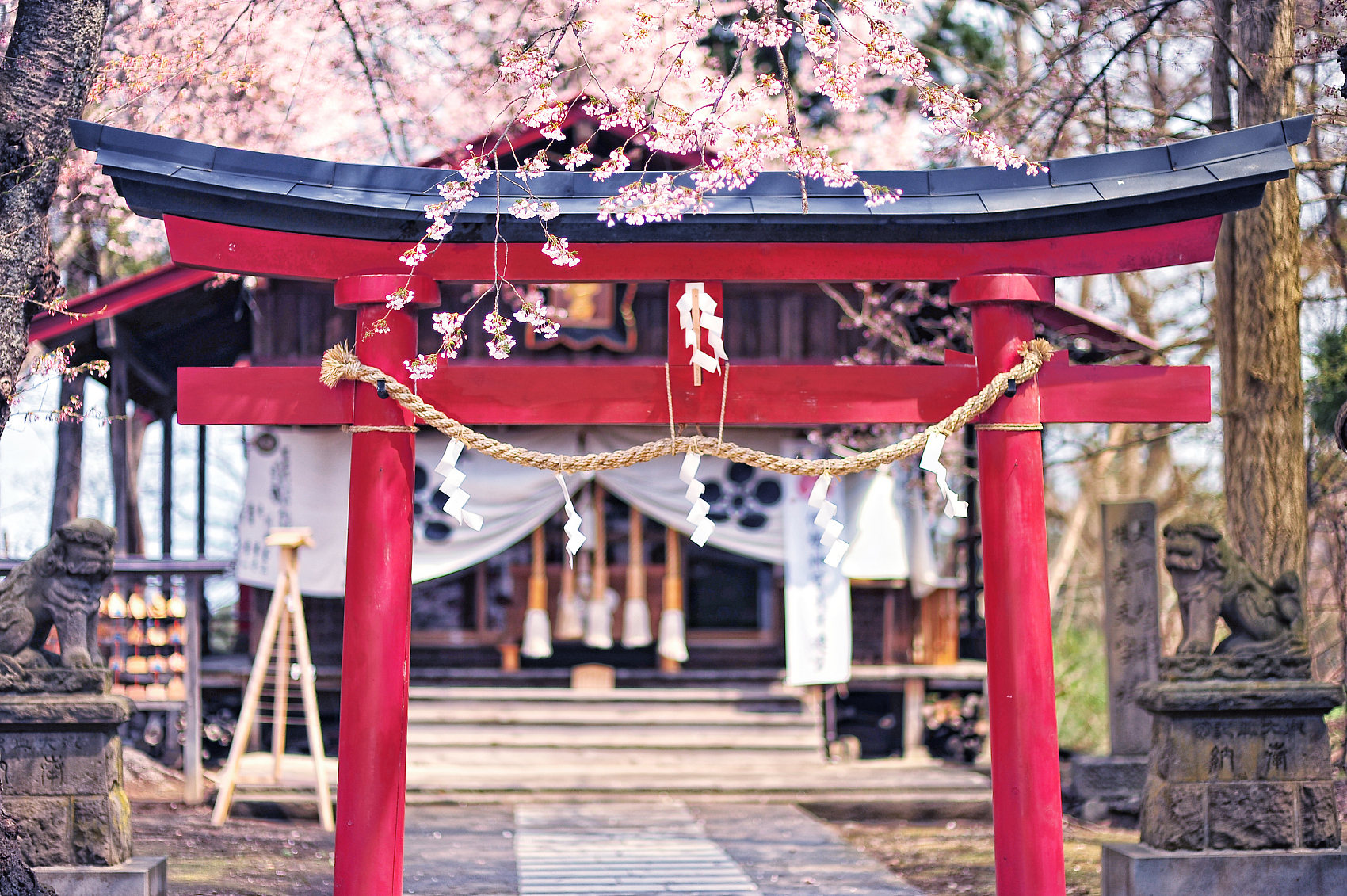 2022年京考二次调剂几率大吗,2022年京考二次调剂上岸容易吗