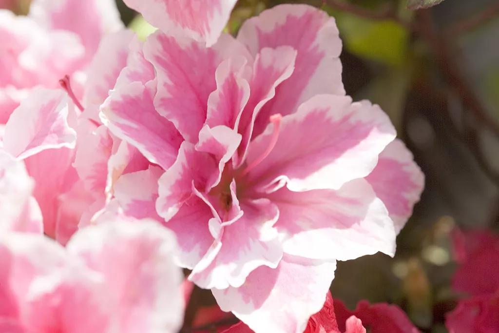 刷酸真的可以换脸吗,刷酸一定要刷全脸吗