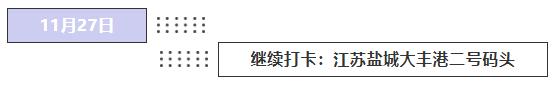 4000头新西兰牛抵达大丰港适合中国消费者的海福特肉牛强势来袭
