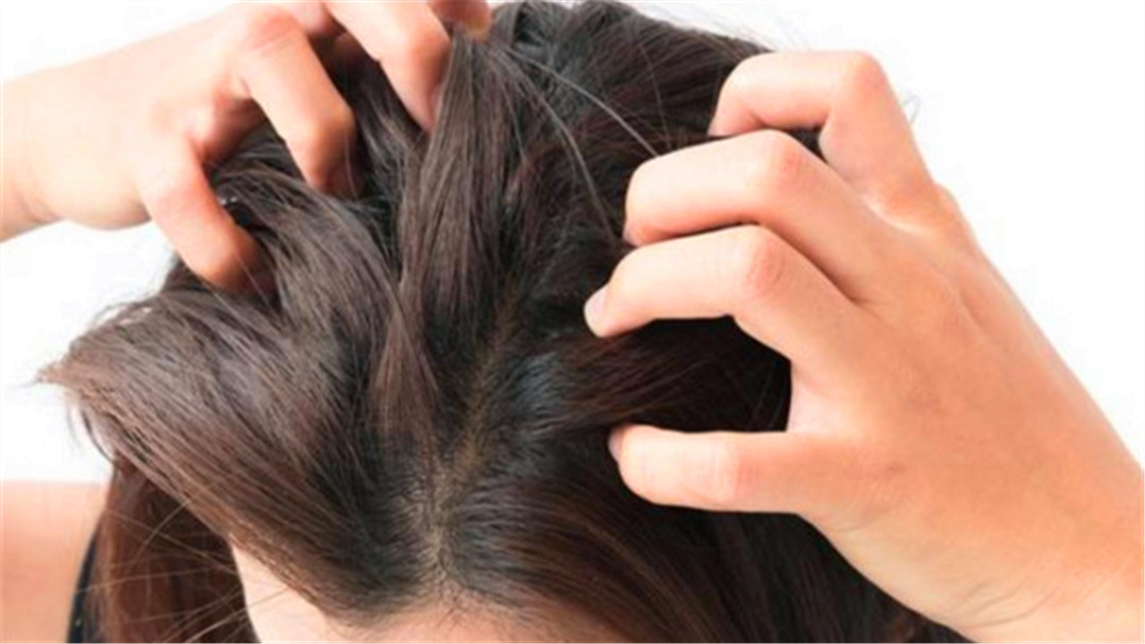 同人类祖先同时进化的人,人类进化了这么久为何还自相残杀