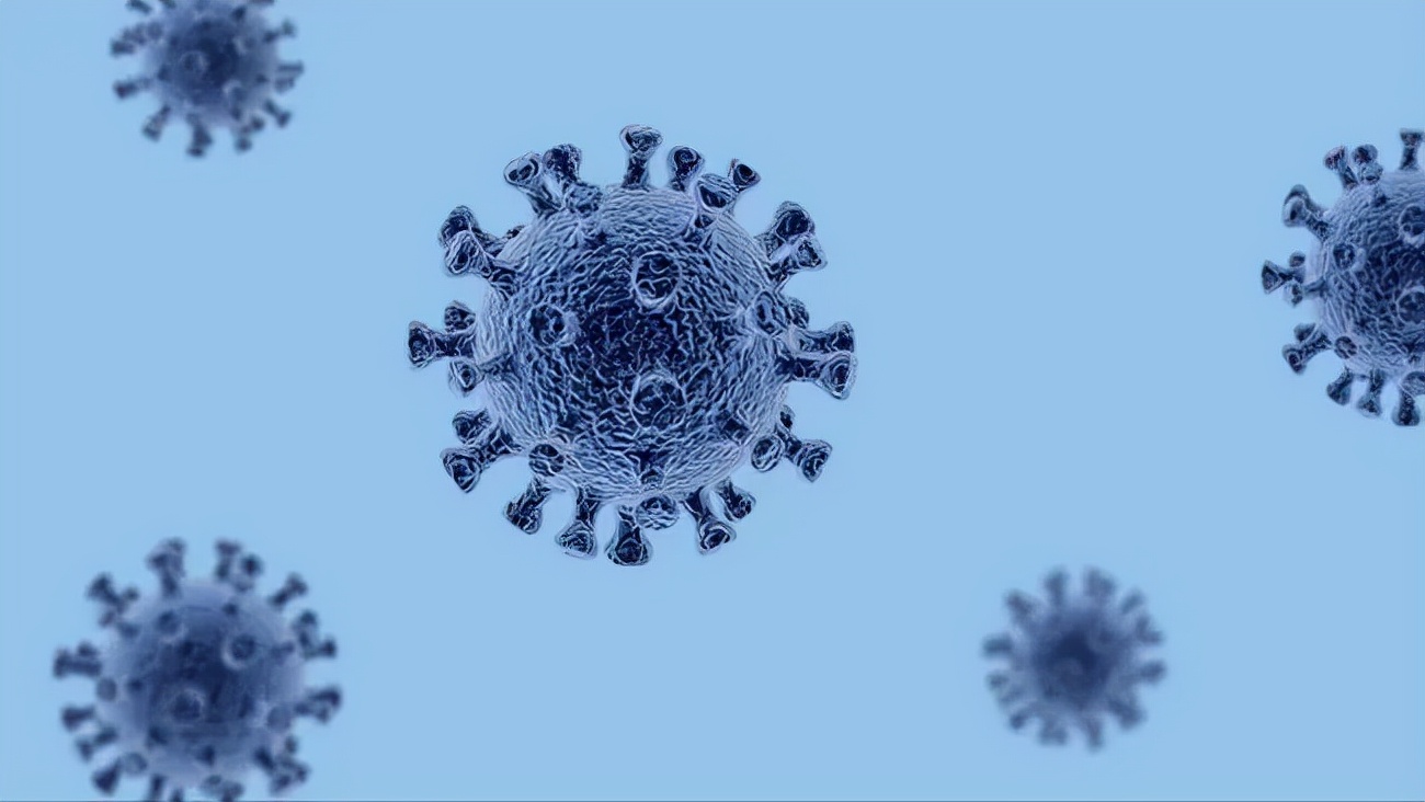 2019年日本流行语排名前十,解析2020日本十大流行语