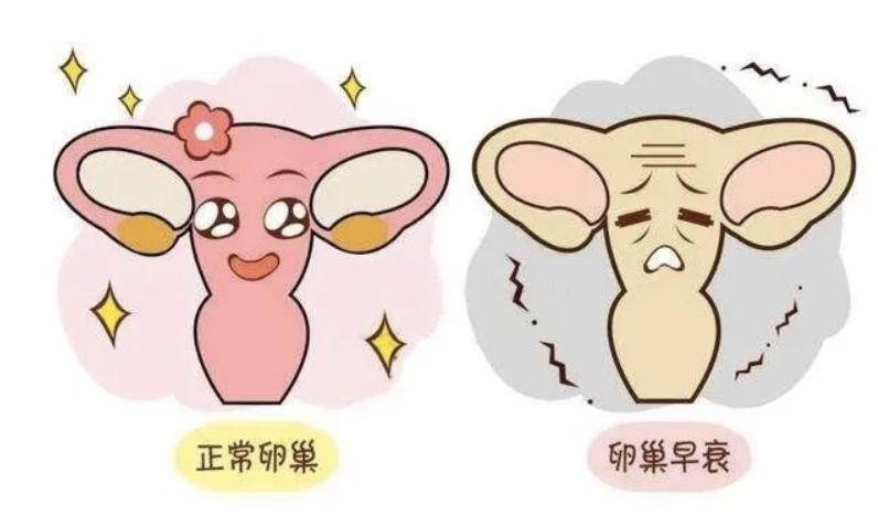 2022年自体干细胞治疗卵巢早衰,郑州干细胞治疗卵巢早衰