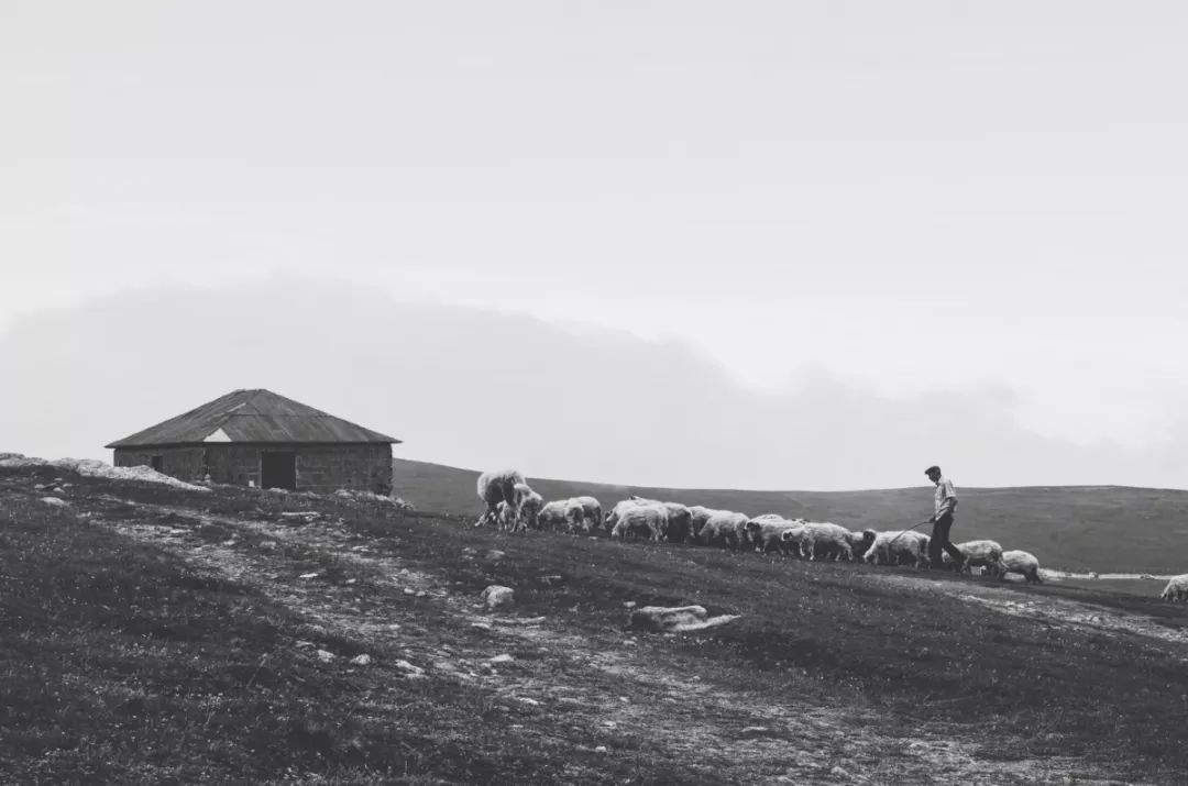 摄影小白适合拍什么,摄影小白拍人像用什么好