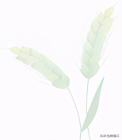 成都市蒲江县南街幼儿园,蒲江希望幼儿园