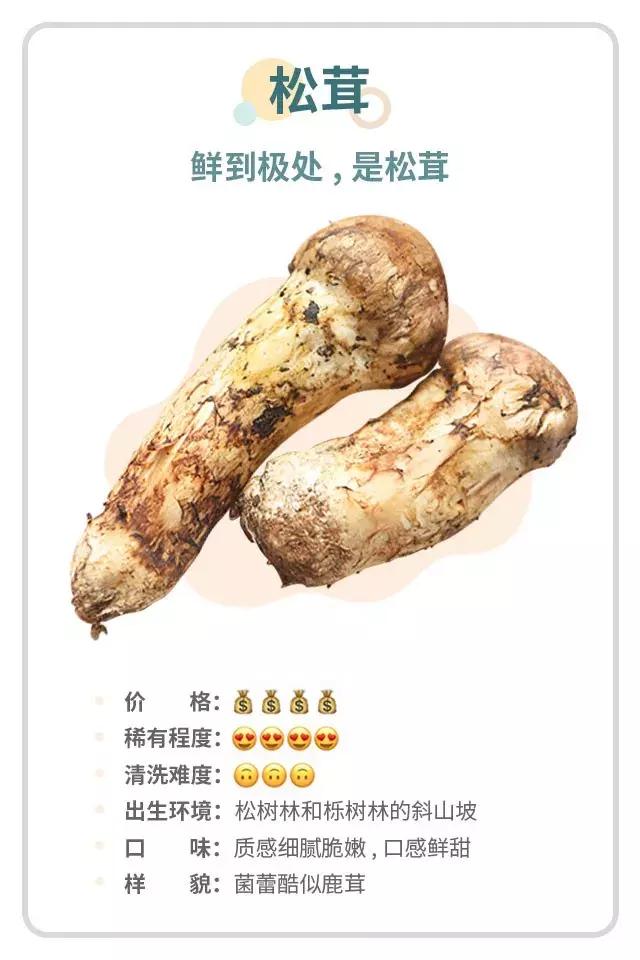 无毒野生菌图鉴大全,见手青野生菌可以吃的种类