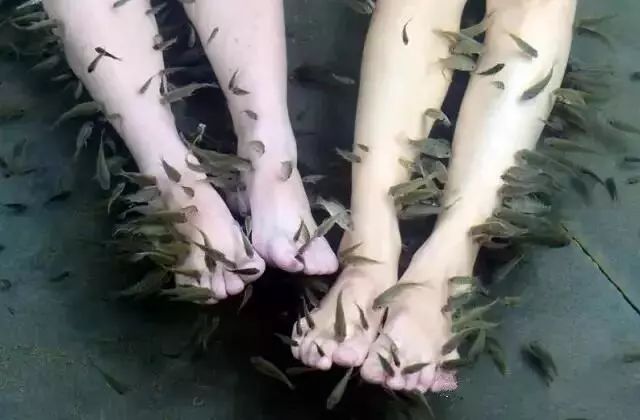 苏州树山书香世家温泉酒店多少钱,苏州书香世家树山温泉