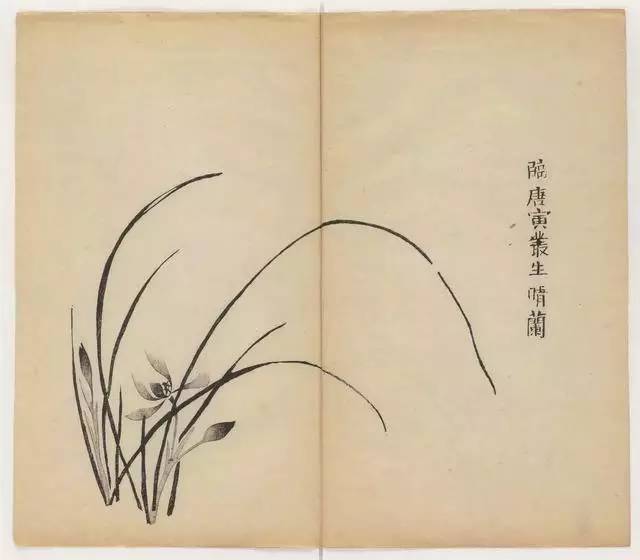 毛笔怎么画兰草,怎么画兰花和书法