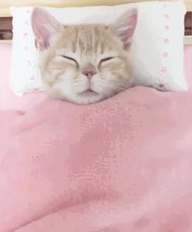 沈阳的全年天气怎么样啊,沈阳天气到底有多冷