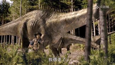 恐龙大百科恐龙探秘,恐龙探秘恐龙化石