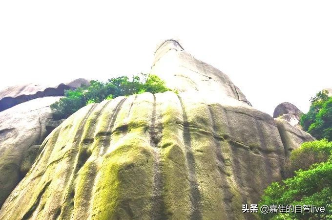 福鼎一日游学生攻略,福鼎两日自由行攻略