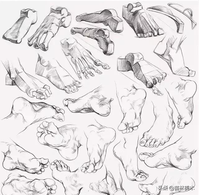 最全的速写的理论知识,速写最快学会