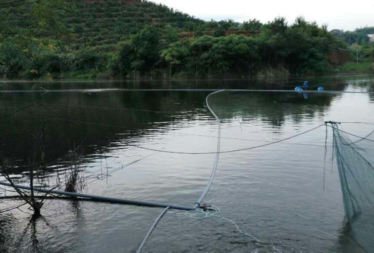 水库网箱养殖经济效益怎么样,综合养鱼怎么经济效益最好