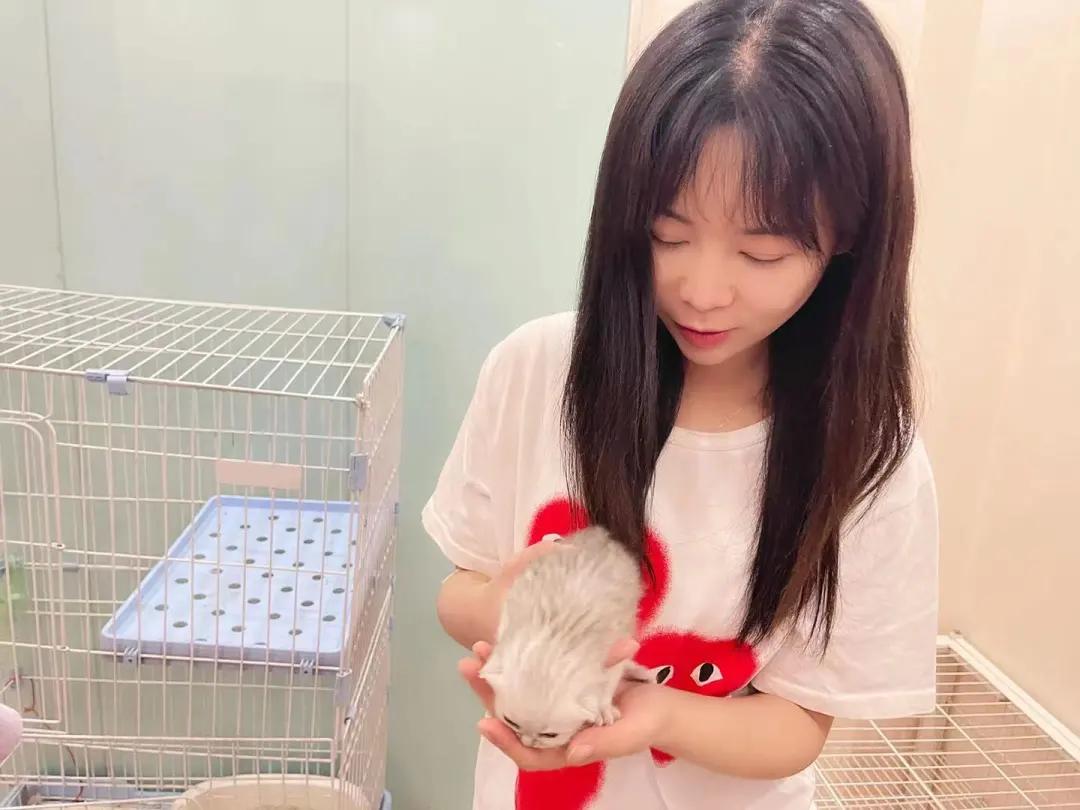 你还在躺平吗？喵星人都出来打工啦