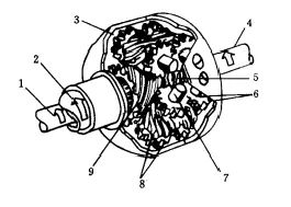 为什么说奥迪的四驱是世界上最好的四驱？