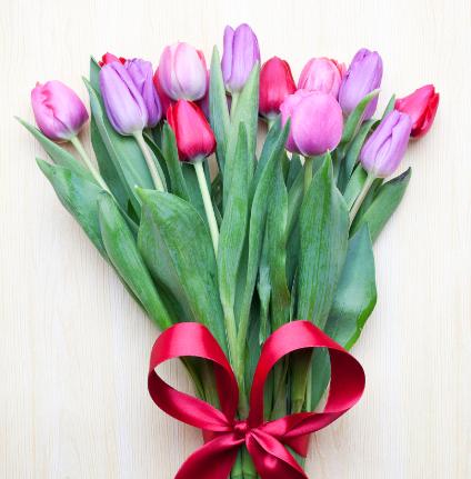 教师节适合送什么花,教师节适合送什么花给老师