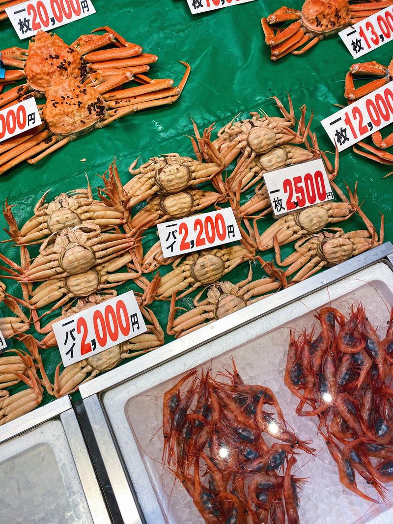 日本小众路线冬,日本冬天观光公路