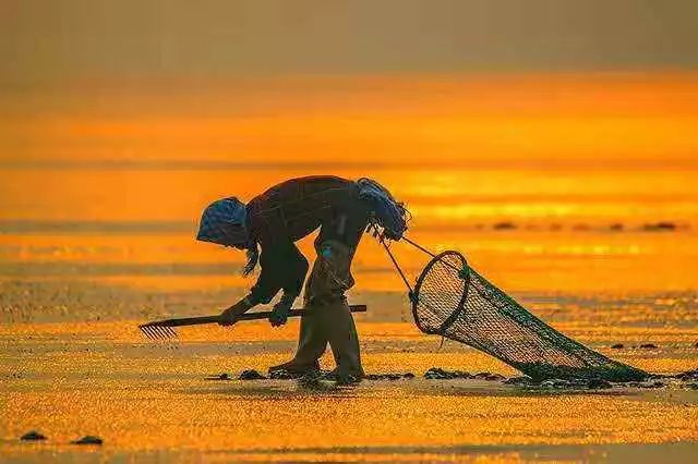 【读历史游盘锦】几许渔人飞短舟,尽载灯火归村路渤海金滩蛤蜊岗