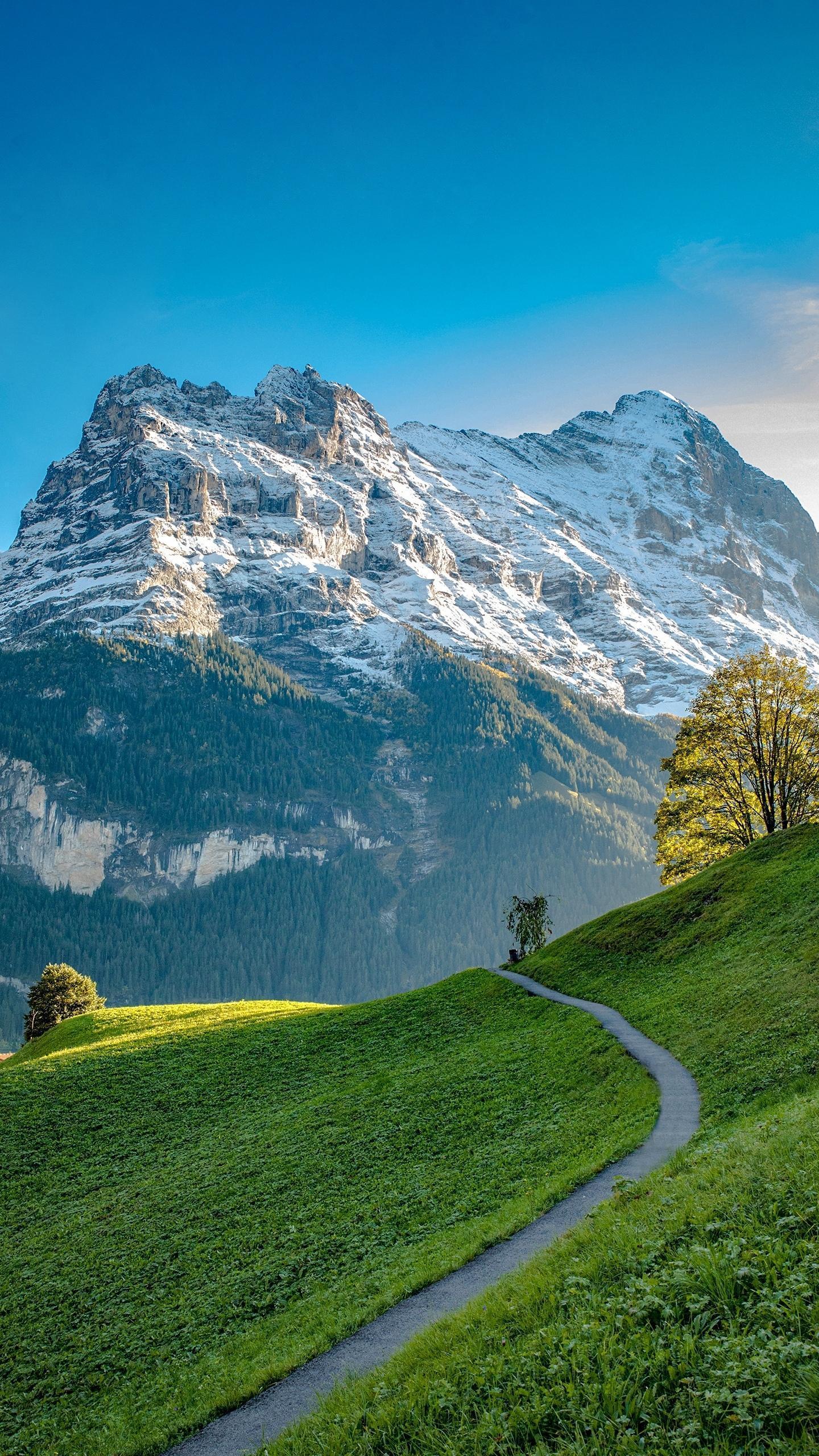 建立人脉的黄金法则,二八法则如何建立人脉