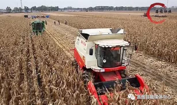 规划引领乡村振兴产业项目,支柱产业带动乡村振兴方案