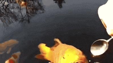 不联系的同学借钱怎么高情商回复,怎么回复借钱的同学