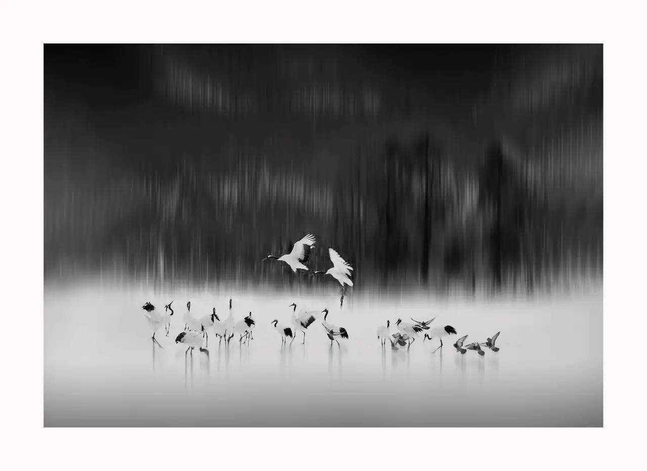 新手小白如何拍出好的摄影作品,如何拍出艺术气息的景