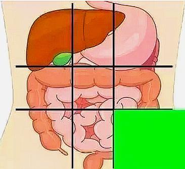 肚子上腹的位置疼什么原因,中下腹肚子痛是什么原因