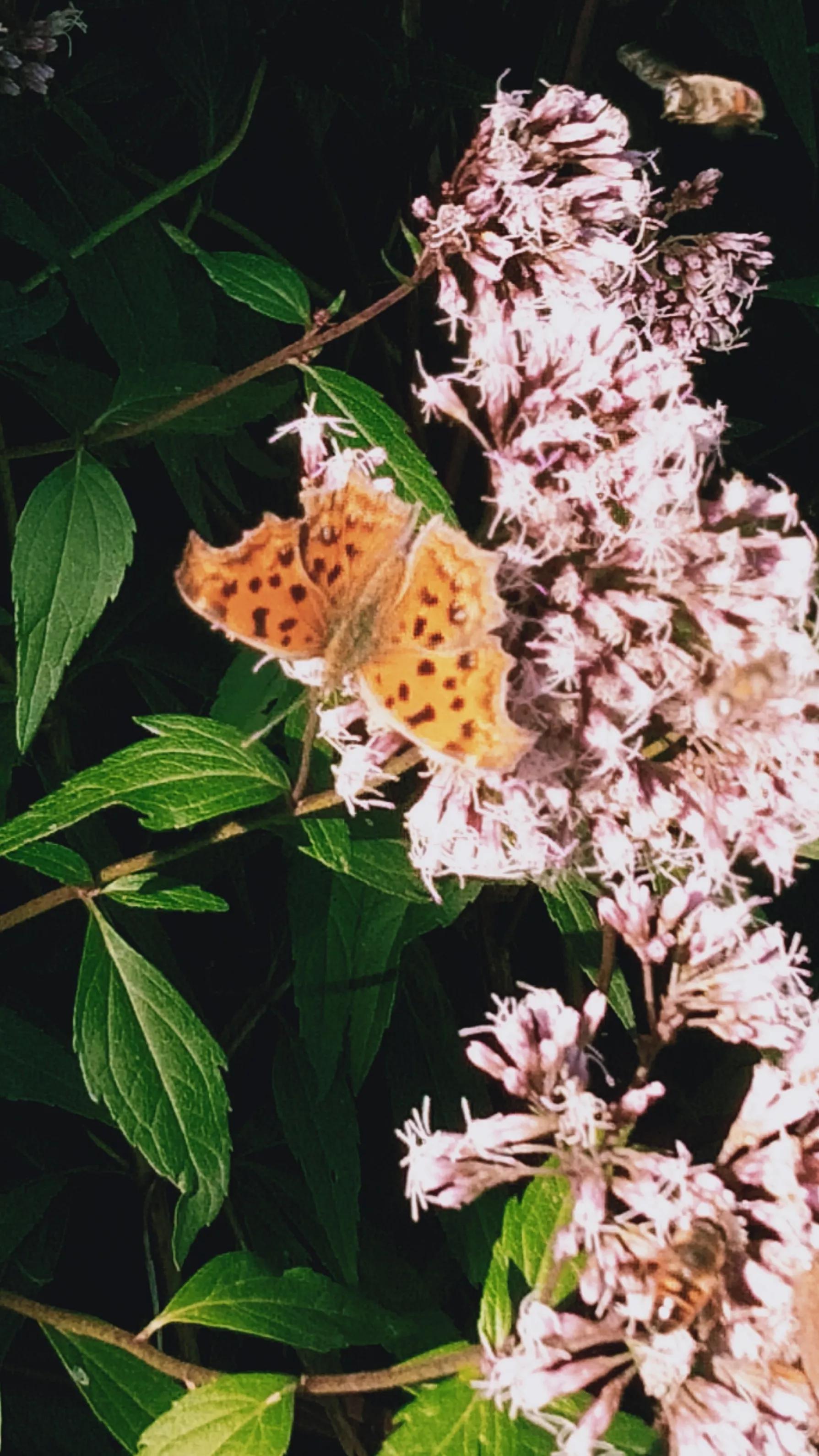 天坛公园内的科普园位置,天坛公园和国家自然博物馆