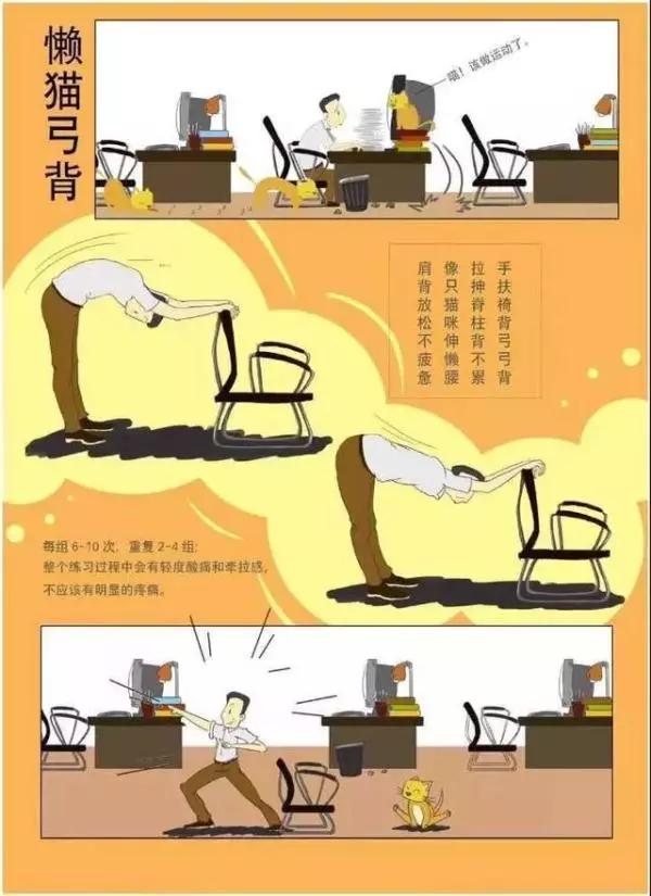 科学健身教程全攻略,动起来科学健身