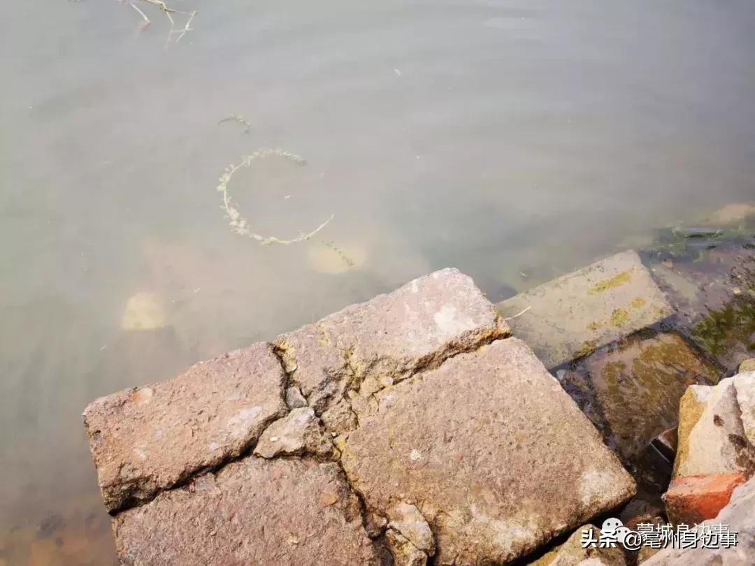 蒙城:一船一家一辈子!他们吃住都在船上