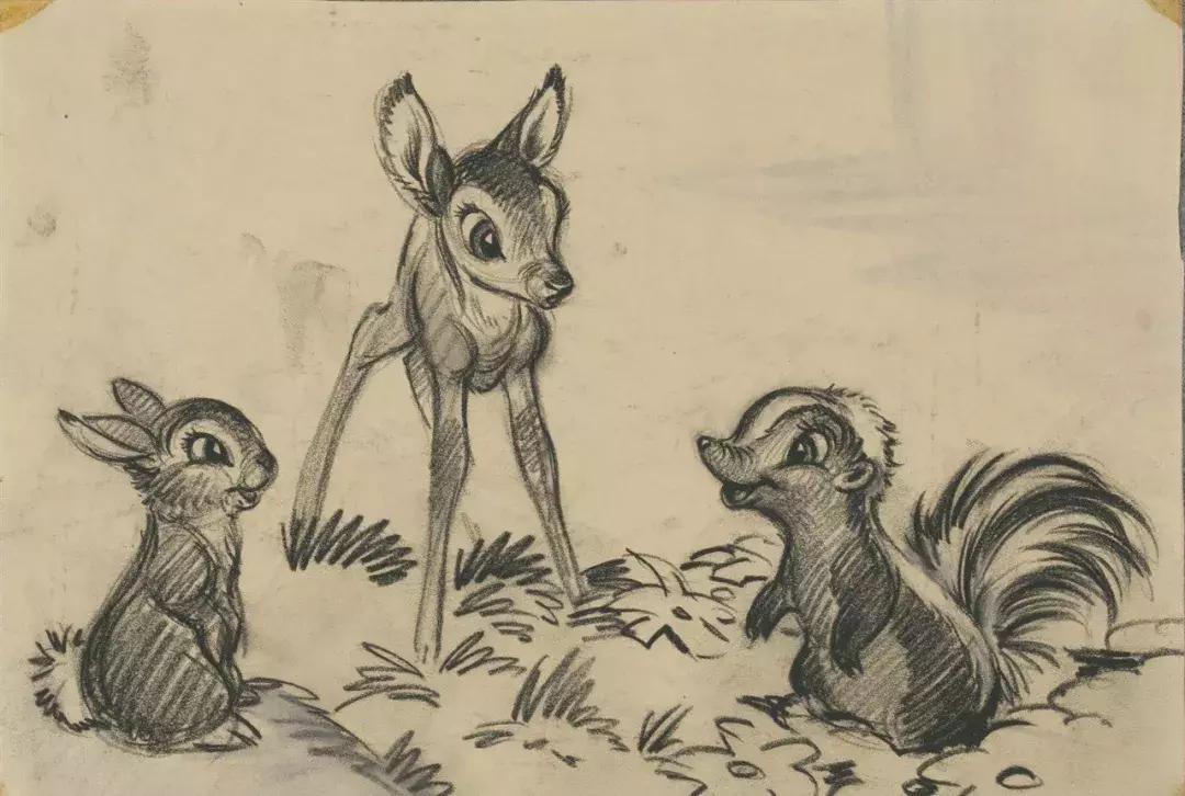 动画手稿多重要 (动画手稿全过程)