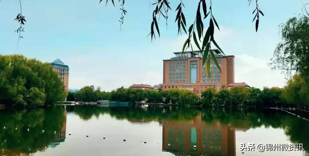 锦州渤海大学！全国最美大学之一！新入学的同学想知道的都在这里