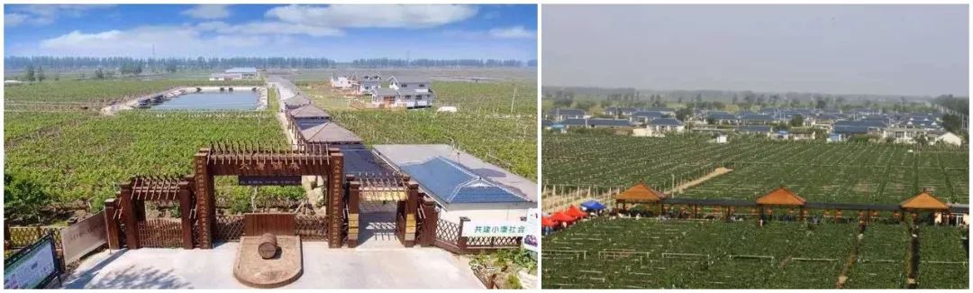 辽宁盘锦知青博物馆,盘锦知青博物馆