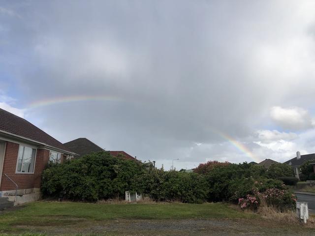 2019新西兰,2019年新西兰