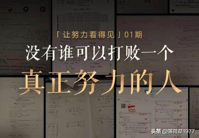 条件运算符的优先级,取址运算符的优先级