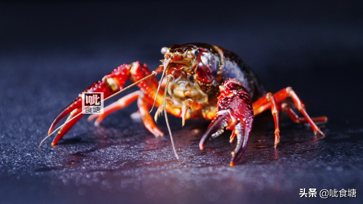 自家秘制麻辣鲜香小龙虾还可以吧,怎么做低成本麻辣小龙虾