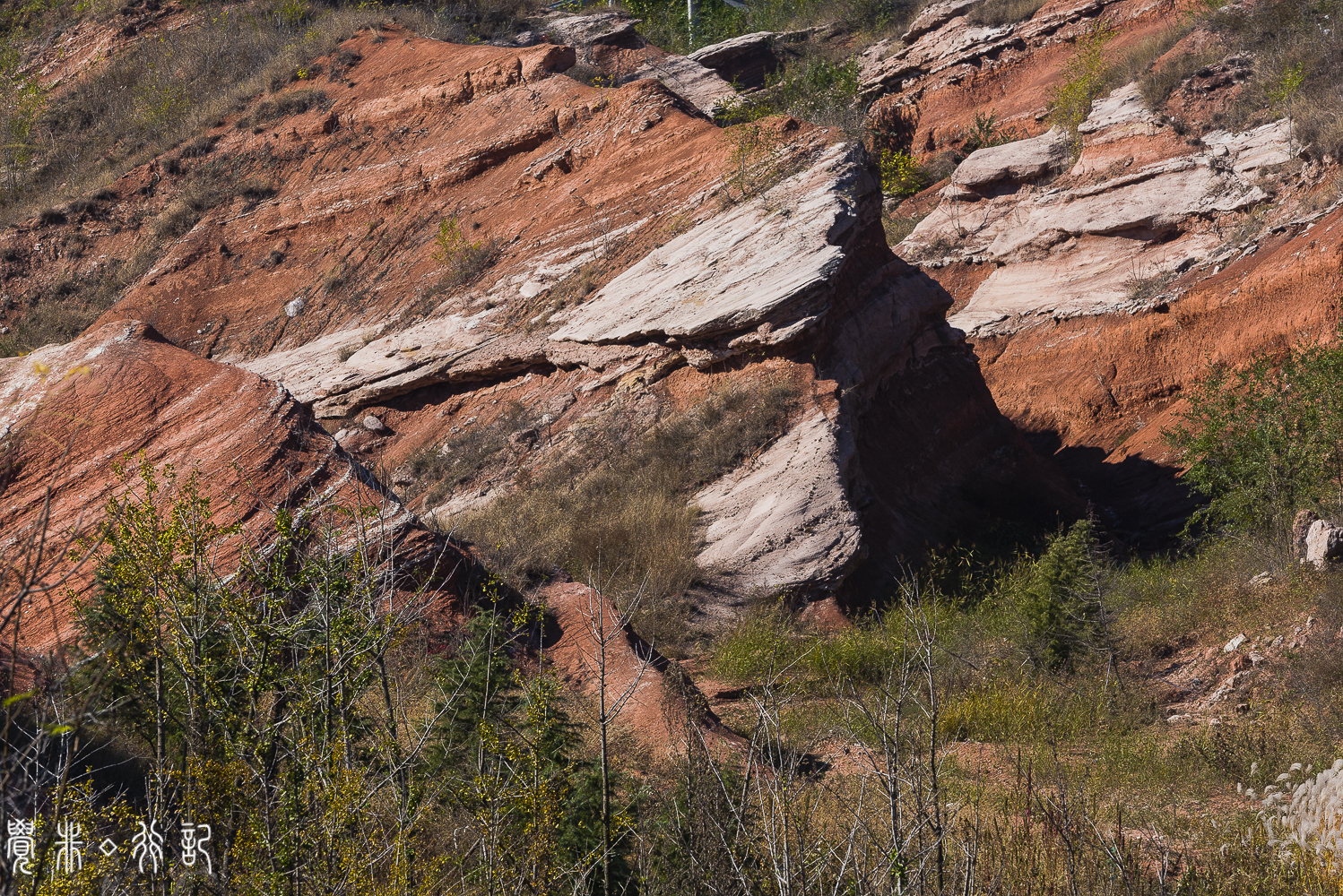 莱阳白垩纪国家森林公园,莱阳白垩纪公园