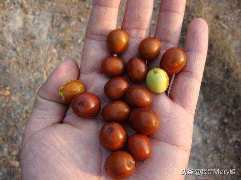 80后回忆学校门口零食,80后零食回忆